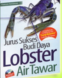 Jurus Sukses Budidaya Lobster Air Tawar