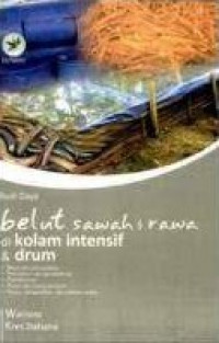 Budi Daya Belut Sawah Rawa di Kolam Intensif dan Drum