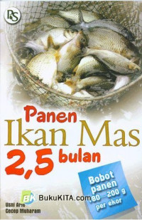 Panen Ikan Mas 2,5 Bulan