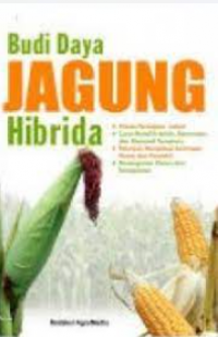 Budidaya Jagung Hibrida