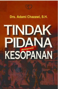 Tindak Pidana Mengenai Kesopanan