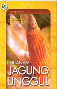 Bertanam jagung unggul