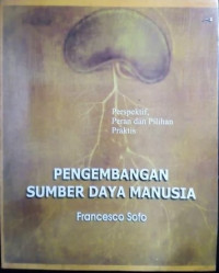 Pengembangan sumber daya manusia : perspektif peran dan pilihan praktis